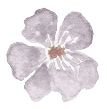 Lismore-doula.png
